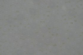 Czech Seed 11/0 R Opaque; C. White 100g Czech Seed 11/0 R Opaque; C. White 100g