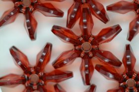 18mm Star Transparent; Tortoise 250g (approx 475p) 18mm Star Transparent; Tortoise 250g (approx 475p)