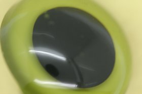 30mm Crystal Eye 10 Pack; Green